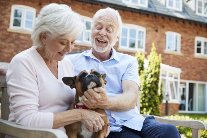 how-aging-adults-benefit-from-pet-therapy