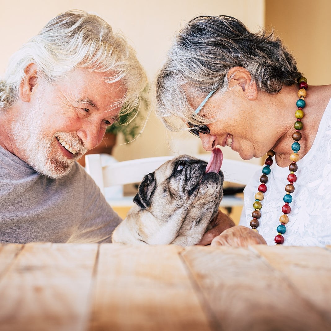 Home Care in Campbell, CA by California Seniors Care