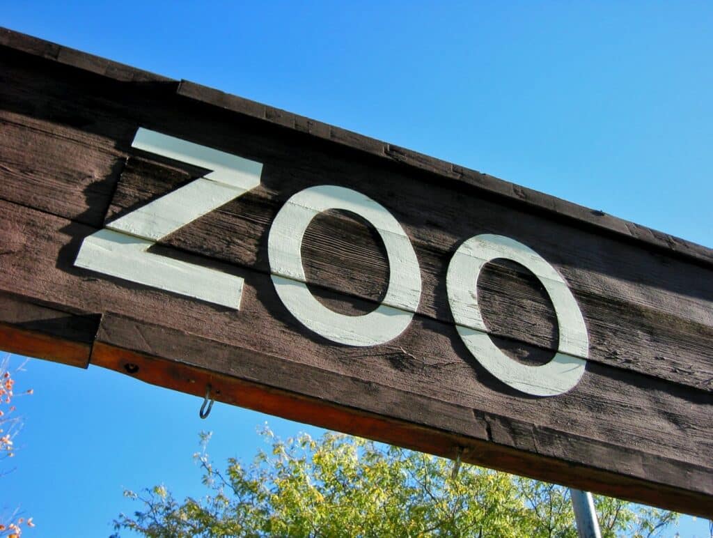 Zoo visits bring joy, movement, and memories for seniors