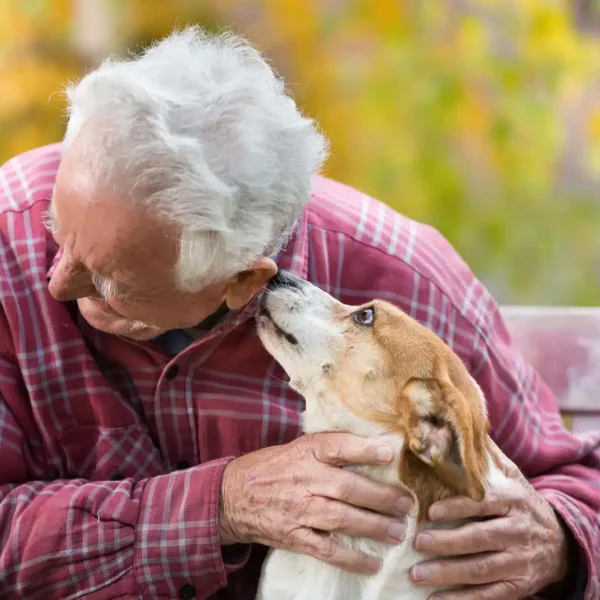 Home Care in Milpitas, CA by California Seniors Care