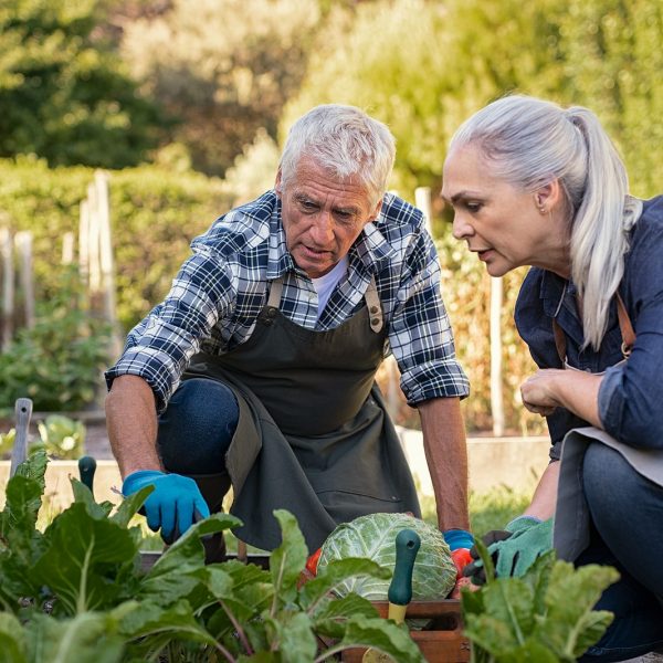 Home Care in Saratoga, CA by California Seniors Care